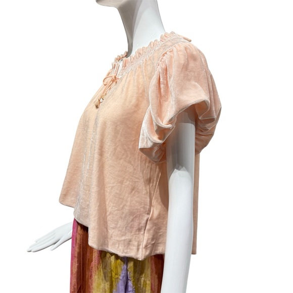 NWOT Free People Terese Velour Crop Top Pink Tint Flutter Balloon Sleeves Size S - Picture 5 of 13